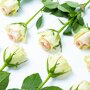 Brievenbus Rozen roze liggend